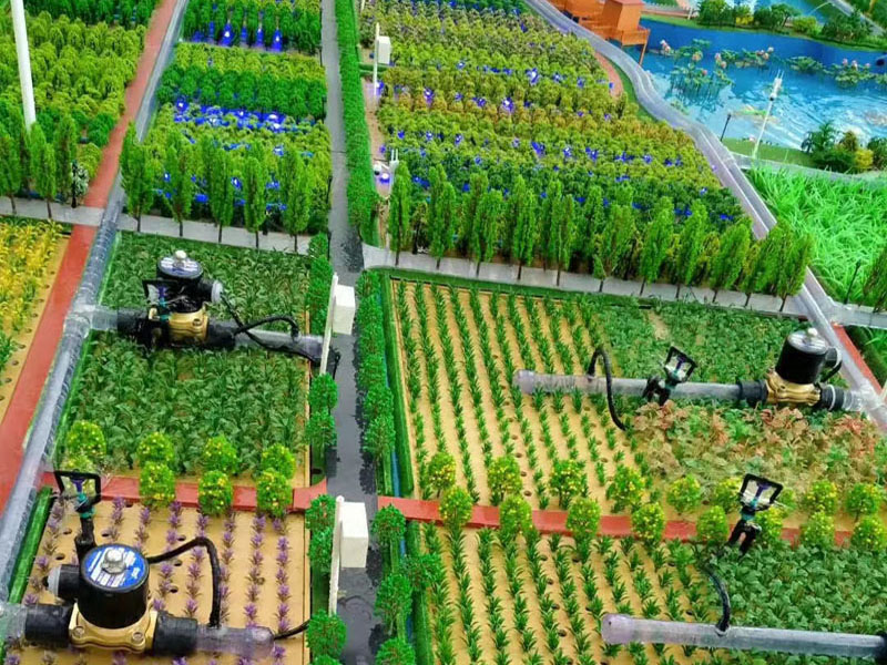 �r�Iģ��,�����r�Iģ��